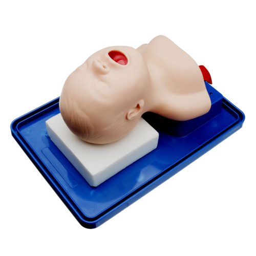 Intubation Manikin Study Teaching Model Baby Infant Airway Management Trainer Medical Model 3