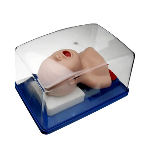 Intubation Manikin Study Teaching Model Baby Infant Airway Management Trainer Medical Model 5