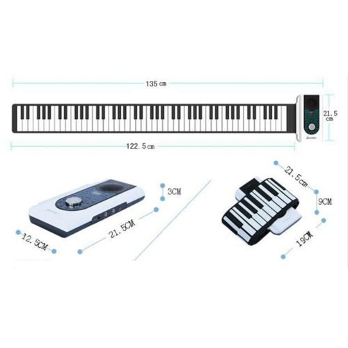 iWord 88 Key Professional Roll Up Piano With MIDI Keyboard 9