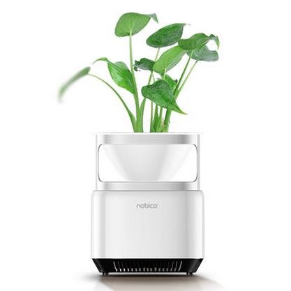Nobico J009 Mini Original Ecology Green Plant Air Purifier Air Detection Module 3 Layers Filter Air 2 Nobico J009 Mini Original Ecology Green Plant Air Purifier Air Detection Module 3 Layers Filter Air - Image 2