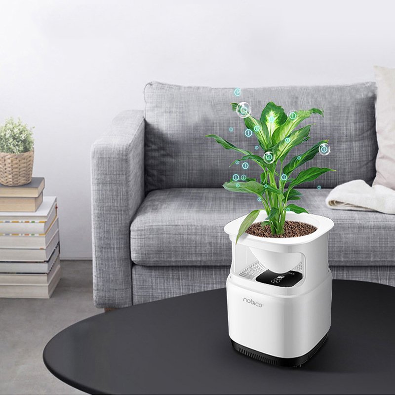 Nobico J009 Mini Original Ecology Green Plant Air Purifier Air Detection Module 3 Layers Filter Air 5 Nobico J009 Mini Original Ecology Green Plant Air Purifier Air Detection Module 3 Layers Filter Air - Image 5