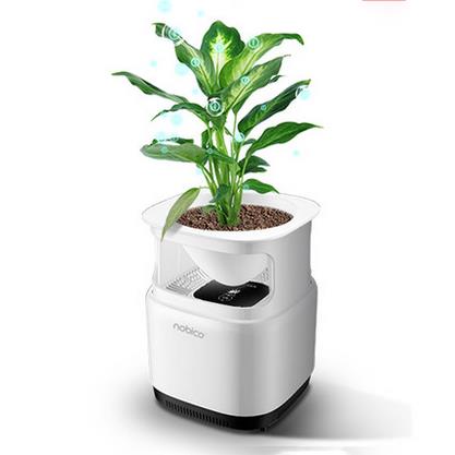 Nobico J009 Mini Original Ecology Green Plant Air Purifier Air Detection Module 3 Layers Filter Air 1 Nobico J009 Mini Original Ecology Green Plant Air Purifier Air Detection Module 3 Layers Filter Air