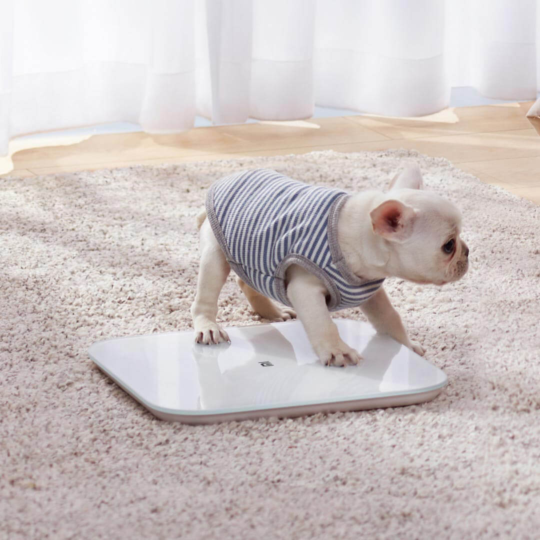 XIAOMI 2.0 Intelligent bluetooth Weight Scale Smart APP Control Precision Weight Scale LED Display Fitness Yoga Tools Scale Support Android IOS 5 XIAOMI 2.0 Intelligent bluetooth Weight Scale Smart APP Control Precision Weight Scale LED Display Fitness Yoga Tools Scale Support Android IOS - Image 5