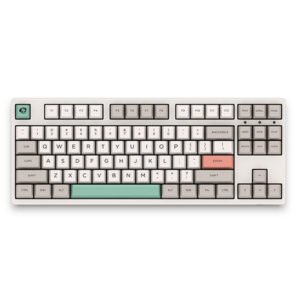 AKKO 3087 – 9009 Retro 87 Keys USB 2.0 Type-C Wired Cherry Switch PBT Keycaps Mechanical Gaming Keyboard
