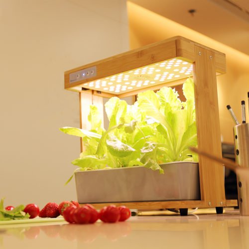 40W Indoor Plant Hydroponics Grow L;ight LED Garden Light For Plants Flowers Seedling Cultivation 7