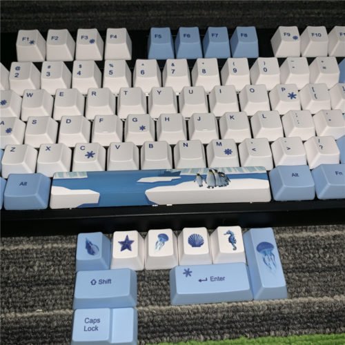 Antarctic Penguin PBT Keycaps Full Set Mechanical Keyboard (OEM Antarctic Keycap) 5