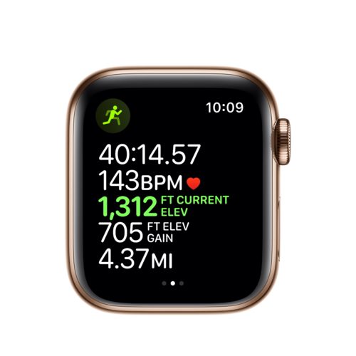 Apple Watch Series 5 GPS + Cellular, 40mm Gold Stainless Steel Case with Stone Sport Band - S/M & M/L 4