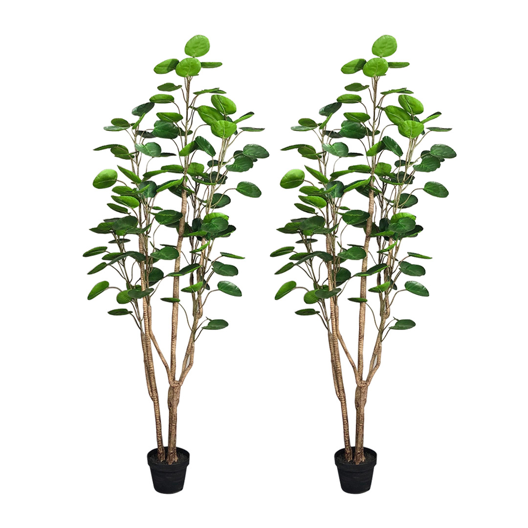 SOGA 2X 150cm Green Artificial Indoor Pocket Money Tree Fake Plant Simulation Decorative 1 SOGA 2X 150cm Green Artificial Indoor Pocket Money Tree Fake Plant Simulation Decorative