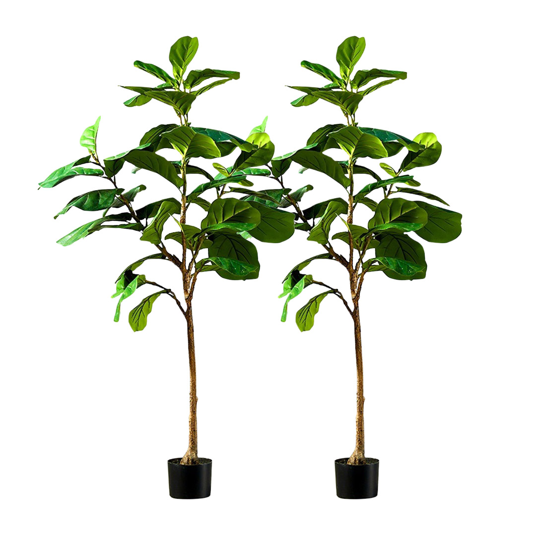 SOGA 2X 155cm Green Artificial Indoor Qin Yerong Tree Fake Plant Simulation Decorative 1 SOGA 2X 155cm Green Artificial Indoor Qin Yerong Tree Fake Plant Simulation Decorative