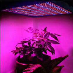 100W 1131Red 234Blue LED Grow Light Plant Growing Lamp Garden Greenhouse Plant Seedling Light 3 100W 1131Red 234Blue LED Grow Light Plant Growing Lamp Garden Greenhouse Plant Seedling Light - Image 3