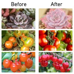 220/110V High-Pressure LED Cob Grow Light Clip 20W/30W/50W Growth Lamp for Indoor Garden Greenhouse Hydroponic Planting 7 220/110V High-Pressure LED Cob Grow Light Clip 20W/30W/50W Growth Lamp for Indoor Garden Greenhouse Hydroponic Planting - Image 7