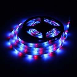 5M 24W DC12V 300 SMD 2835 Waterproof White/Warm White/Blue/Red/Green/RGB LED Flexible Strip Light 4 5M 24W DC12V 300 SMD 2835 Waterproof White/Warm White/Blue/Red/Green/RGB LED Flexible Strip Light - Image 4