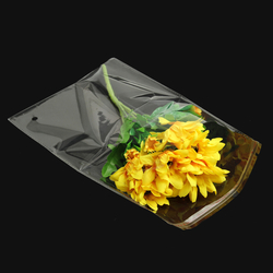 100Pcs Resealable Transparent Cellophane Opp Bag With Self Seal Strip 6 100Pcs Resealable Transparent Cellophane Opp Bag With Self Seal Strip - Image 6