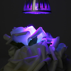 3W MR16 LED Ultraviolet Color Purple Light Flashlight Bulb Lamp Torch AC/DC 12V 2 3W MR16 LED Ultraviolet Color Purple Light Flashlight Bulb Lamp Torch AC/DC 12V - Image 2