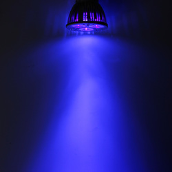 3W MR16 LED Ultraviolet Color Purple Light Flashlight Bulb Lamp Torch AC/DC 12V 5 3W MR16 LED Ultraviolet Color Purple Light Flashlight Bulb Lamp Torch AC/DC 12V - Image 5