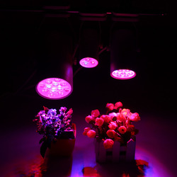 3W 7W 12W LED Plant Lights Grow Lamp Flood Supplementary Light 1