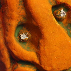 Halloween Spooky Wreath LED Lantern LED Pumpkin Light Door Hanger Home Decor 6 Halloween Spooky Wreath LED Lantern LED Pumpkin Light Door Hanger Home Decor - Image 6