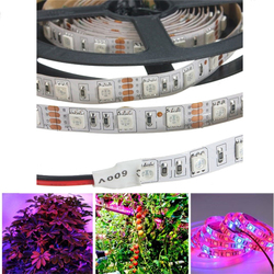 5M 3:1/4:1/5:1 Red:Blue 5050SMD 300LED Non-waterproof Hydroponic Plant Grow Strip Light DC12V 2