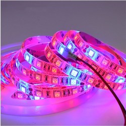 5M 3:1/4:1/5:1 Red:Blue 5050SMD 300LED Non-waterproof Hydroponic Plant Grow Strip Light DC12V 2 5M 3:1/4:1/5:1 Red:Blue 5050SMD 300LED Non-waterproof Hydroponic Plant Grow Strip Light DC12V - Image 2