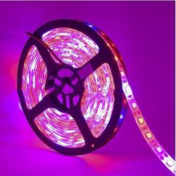 5M 3:1/4:1/5:1 Red:Blue 5050SMD 300LED Non-waterproof Hydroponic Plant Grow Strip Light DC12V 4