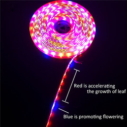 5M 3:1/4:1/5:1 Red:Blue 5050SMD 300LED Non-waterproof Hydroponic Plant Grow Strip Light DC12V 7