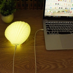 Creative 3W Colorful Shell LED Night Light Wireless Rechargeable bluetooth Speaker Music Home Decor 2 Creative 3W Colorful Shell LED Night Light Wireless Rechargeable bluetooth Speaker Music Home Decor - Image 2