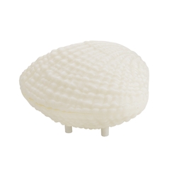 Creative 3W Colorful Shell LED Night Light Wireless Rechargeable bluetooth Speaker Music Home Decor 3 Creative 3W Colorful Shell LED Night Light Wireless Rechargeable bluetooth Speaker Music Home Decor - Image 3