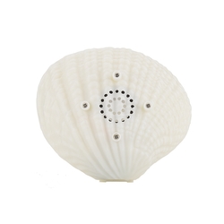 Creative 3W Colorful Shell LED Night Light Wireless Rechargeable bluetooth Speaker Music Home Decor 4 Creative 3W Colorful Shell LED Night Light Wireless Rechargeable bluetooth Speaker Music Home Decor - Image 4