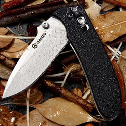 Ganzo 200mm 440C Stainless Steel Tactical Folding Knife Outdoor Portable Knife Multifunction Knife 4 Ganzo 200mm 440C Stainless Steel Tactical Folding Knife Outdoor Portable Knife Multifunction Knife - Image 4