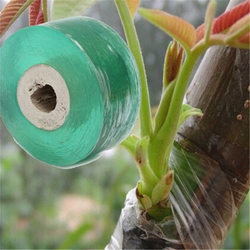 Hot Garden Tools Fruit Tree Grafting Waterproof Tape Household Garden Engraft Branch Graft Tape 3 Hot Garden Tools Fruit Tree Grafting Waterproof Tape Household Garden Engraft Branch Graft Tape - Image 3