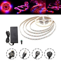 DC12V Non-waterproof 5M Red:Blue 4:1 SMD5050 Full Spectrum LED Strip Grow Light + Power Supply 2