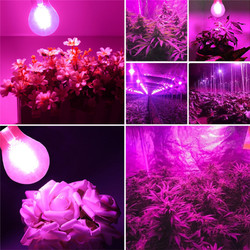 E27 B22 6W A60 Non-Dimmable COB LED Plant Grow Light Bulb for Hydroponics Greenhouse AC85-265V 7