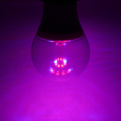 5W E27 5730 Full Spectrum 10 LED Grow Light Bulb Reb:Blue 4:1 for Tent Indoor Greenhouse AC100-265V 2 5W E27 5730 Full Spectrum 10 LED Grow Light Bulb Reb:Blue 4:1 for Tent Indoor Greenhouse AC100-265V - Image 2