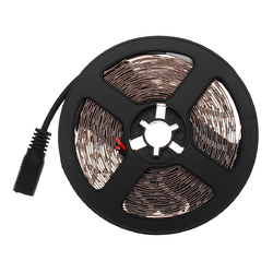 5M 3528SMD Non-waterproof UV Purple LED Strip Light with DC Connector DC12V 2 5M 3528SMD Non-waterproof UV Purple LED Strip Light with DC Connector DC12V - Image 2