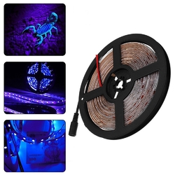 5M 36W 3528SMD Waterproof Flexible Purple 300 LED Strip Light with DC Connector DC12V 2