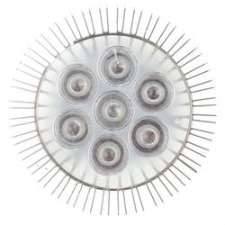 21W E27 Red + Blue LED Plant Grow Light Lamp Flower Hydroponic Globe Bulb 85-265V 7 21W E27 Red + Blue LED Plant Grow Light Lamp Flower Hydroponic Globe Bulb 85-265V - Image 7