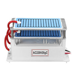 Ozone Generator 220V 20G/H Double Ceramic Plate Ozonizer Water Disinfection Treatment Air Purifier 4 Ozone Generator 220V 20G/H Double Ceramic Plate Ozonizer Water Disinfection Treatment Air Purifier - Image 4