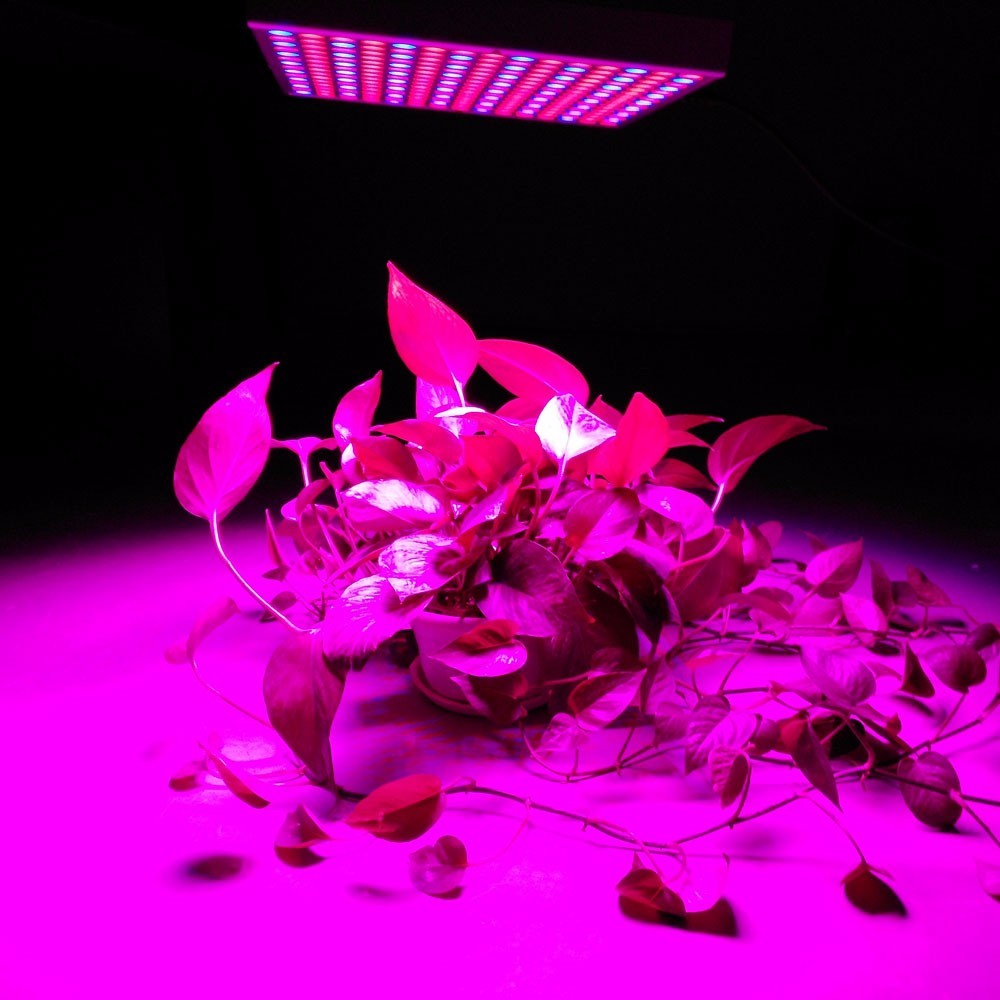 45W 225LEDs SMD2835 LED Grow Lights LED Horticulture Grow Light for Garden Flowering Plant 4 45W 225LEDs SMD2835 LED Grow Lights LED Horticulture Grow Light for Garden Flowering Plant - Image 4