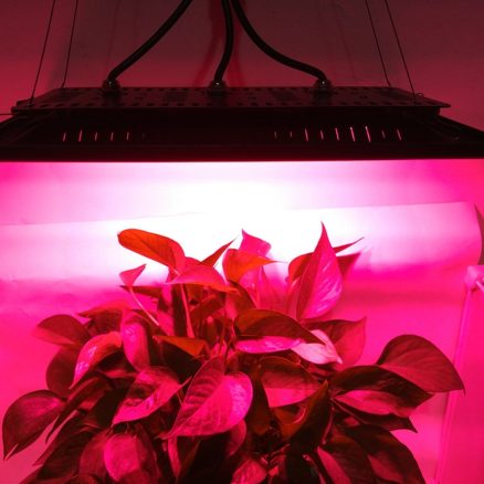 ARILUX?® 150W Full Spectrum LED Plant Grow Hanging Flood Light Waterproof Thunder Protection 220-240V 5