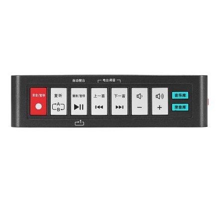 Tecsun ICR-100 Voice Recorder A-B Repeat FM Radio Receiver Support TF Card USB AUX 5