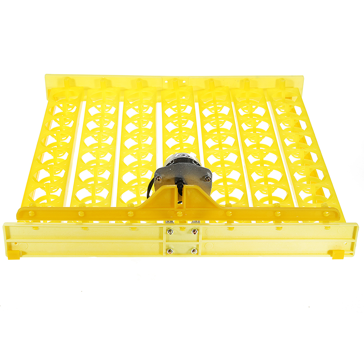 56 Incubator Automatic Eggs Turner Tray With Teching Equipment 220V Motor Farm Tool 2 56 Incubator Automatic Eggs Turner Tray With Teching Equipment 220V Motor Farm Tool - Image 2