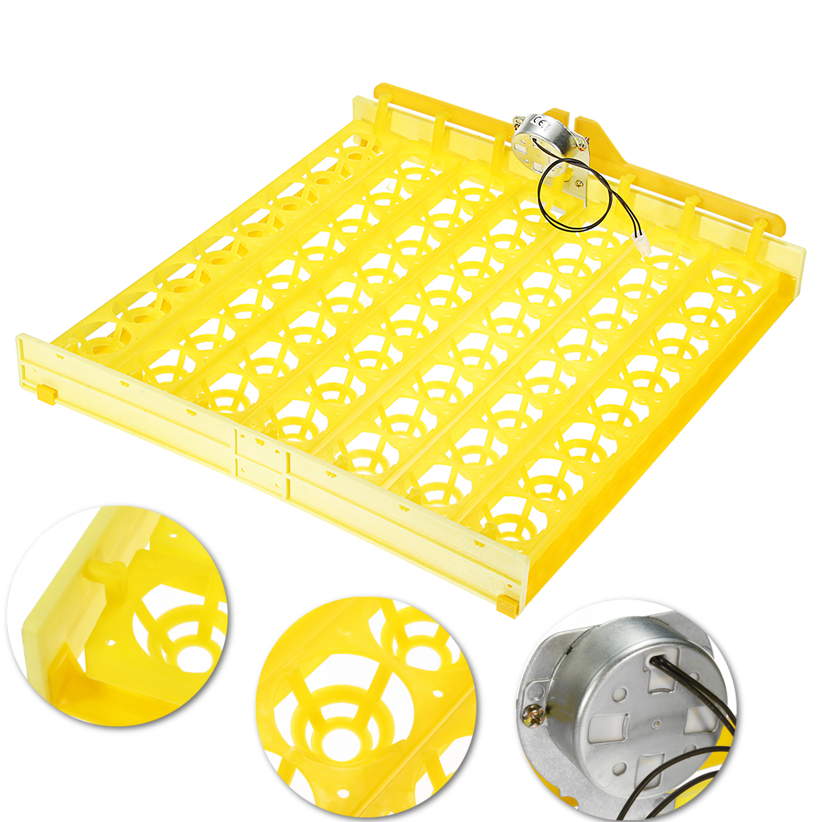 56 Incubator Automatic Eggs Turner Tray With Teching Equipment 220V Motor Farm Tool 4 56 Incubator Automatic Eggs Turner Tray With Teching Equipment 220V Motor Farm Tool - Image 4