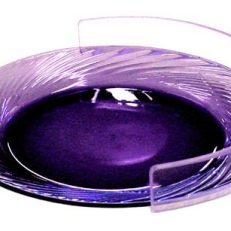 Plate Guard  Clear Large