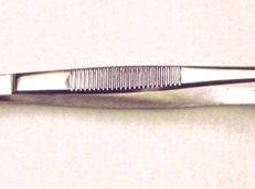 Tissue Forceps 5  1x2 Teeth