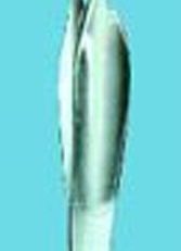 Feilchenfeld Forcep Serrated 3