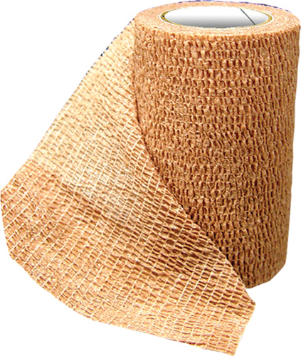 Adhesive Bandage 2 1 Adhesive Bandage 2