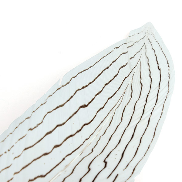 LS820-E White Silver Pheasant Dip Pen Quill Pen Gift Set Ink Included 4 LS820-E White Silver Pheasant Dip Pen Quill Pen Gift Set Ink Included - Image 4