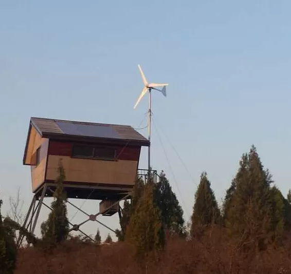 High performance 2000w wind turbine generator new energy 2kw home use windmill 2 High performance 2000w wind turbine generator new energy 2kw home use windmill - Image 2