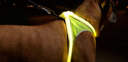 LIGHTHOUND - Lighted Collar and Vest for Dog 9