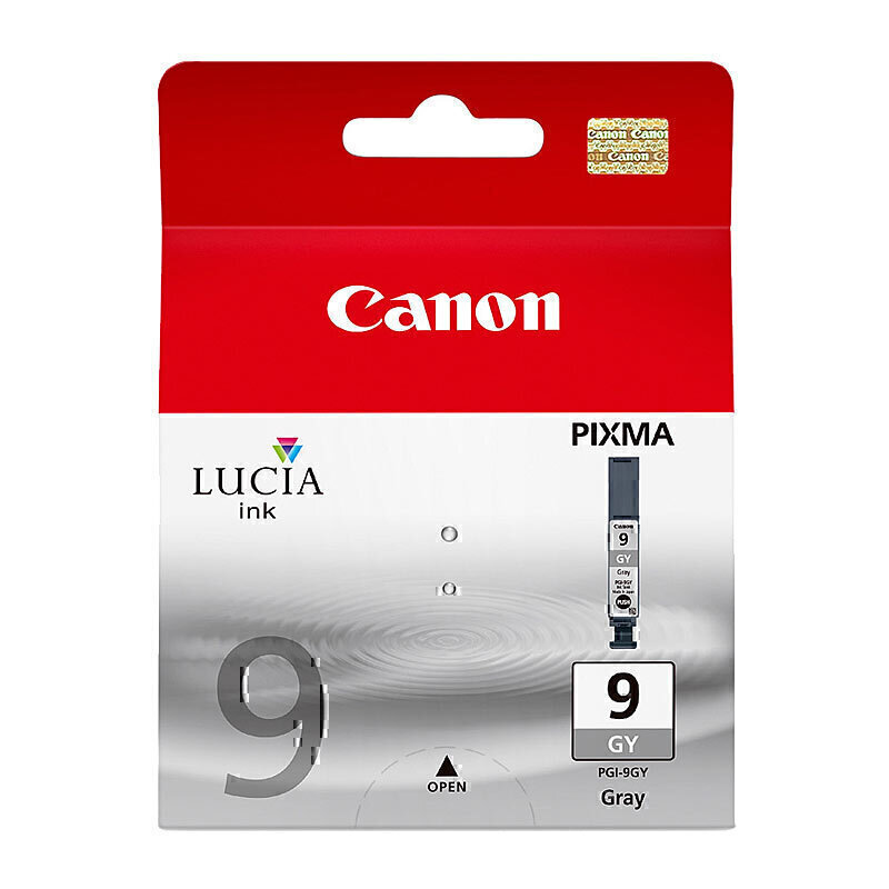 Canon PGI9 Grey Ink Cart 2